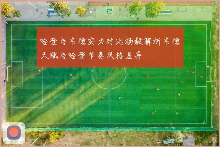 哈登与韦德实力对比杨毅解析韦德天赋与哈登节奏风格差异