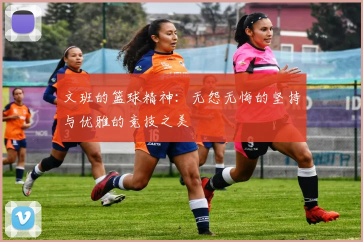 文班的篮球精神：无怨无悔的坚持与优雅的竞技之美